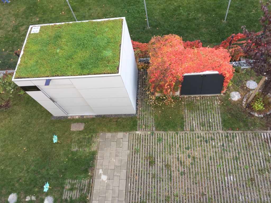 Design Gartenhaus @gart zwei XL nach Maß mit Dachbegrünung  in Leipzig Mitte 7